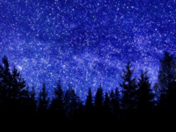 1 Hour Starry Sky Screensaver with Relaxing Music | Relaxing Motion Background | FREE DOWNLOAD