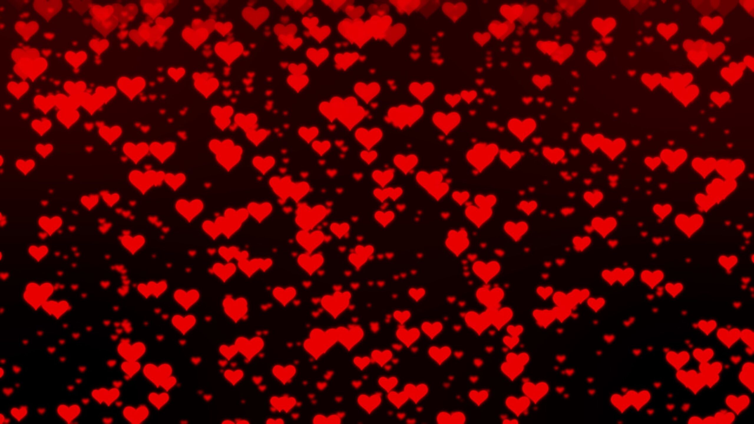 4K Beautiful Red Hearts Motion Background || FREE DOWNLOAD || Valentine’s Day Screensaver || Stock Footage