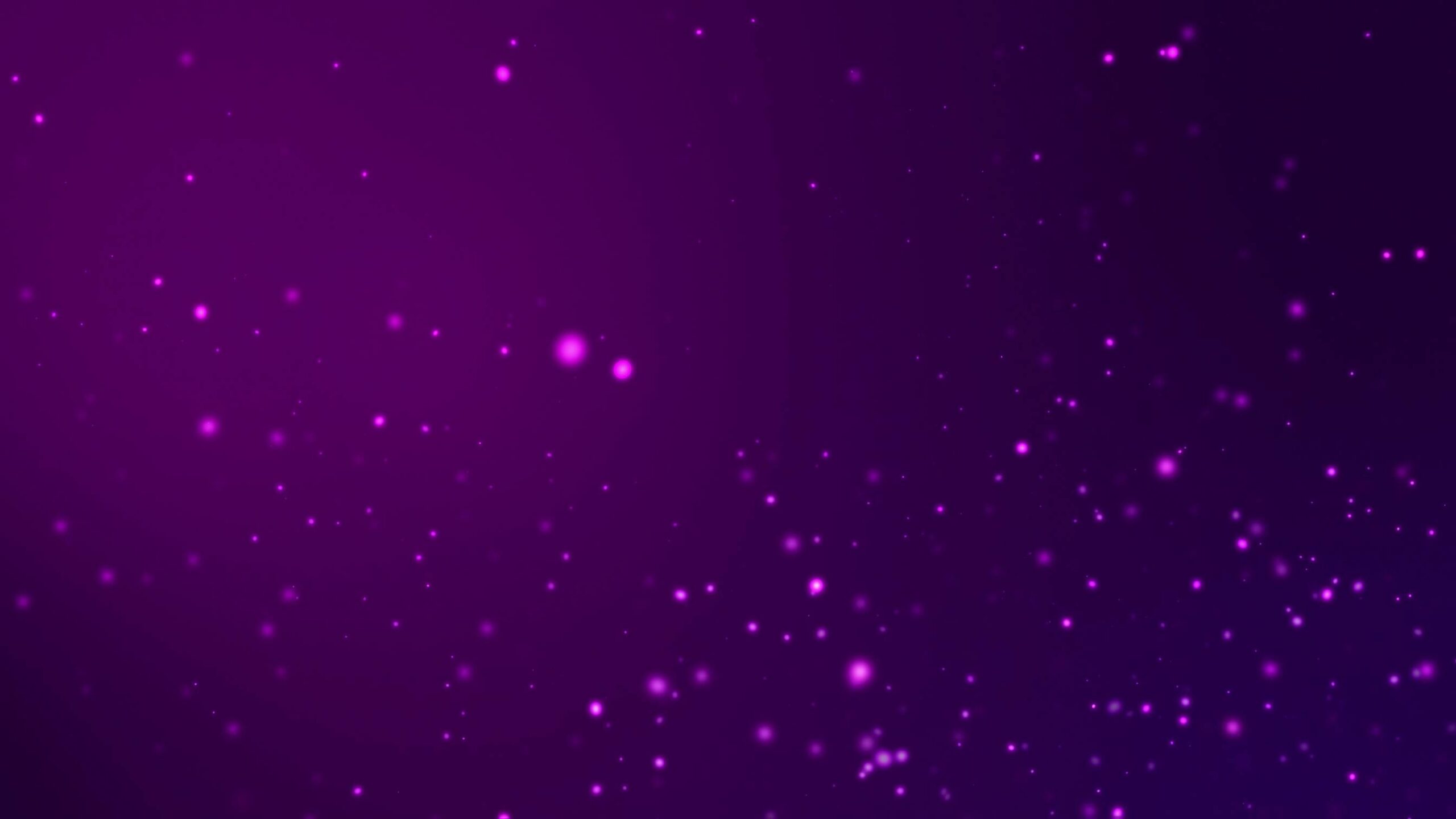 4K Glowing Purple Particles Motion Background || Free UHD Screensaver || Free Download