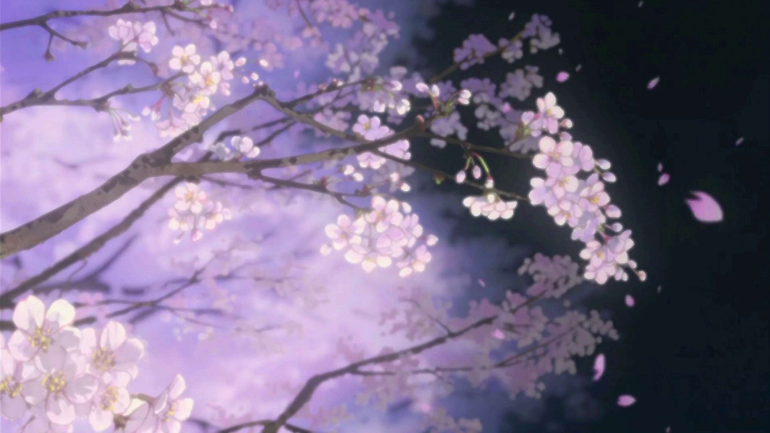 4K Animated Cherry Blossom Screensaver || UHD Anime Motion Background FREE DOWNLOAD