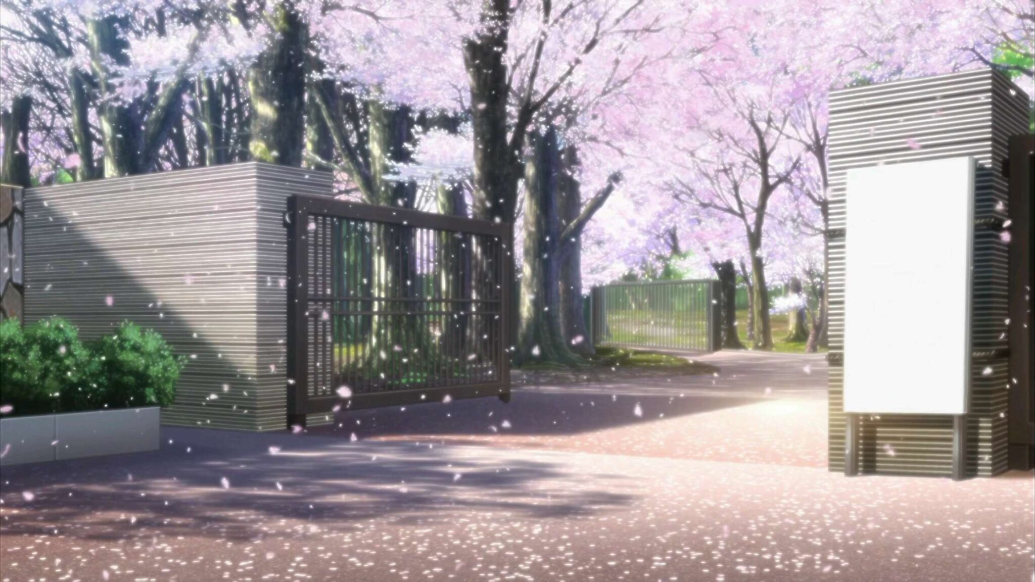 4K Beautiful Animated Cherry Blossom Screensaver || UHD Anime Motion