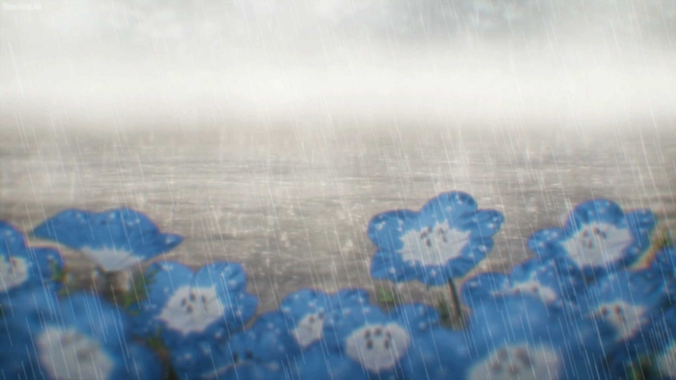 4K Animated Rain on Flowers Screensaver || Animated Rain UHD Background Video FREE DOWNLOAD