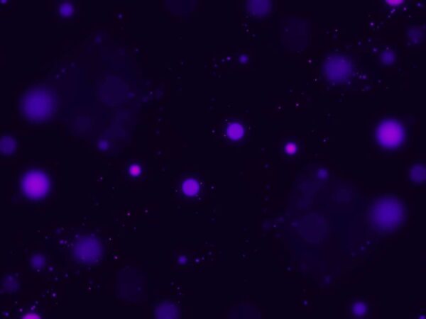 Glowing Purple Particles Motion Background || VFX Free To Use Screensaver