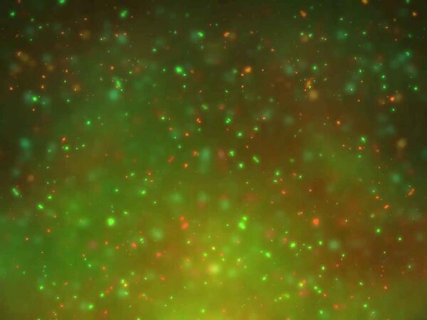 4K Glowing Green & Orange Particles Motion Background || VFX Free 4K Screensaver || Free Download